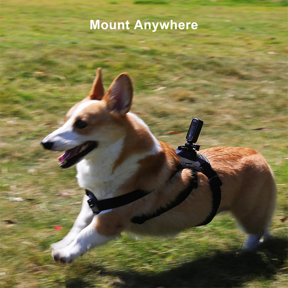 Câmara de Ação SJCAM C100 Plus – 4K 30FPS, Estabilização EIS, À Prova de Água até 30m, Wi-Fi